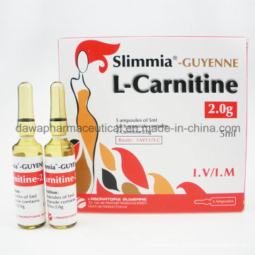 Lcarnitina zum Abnehmen Injektion
